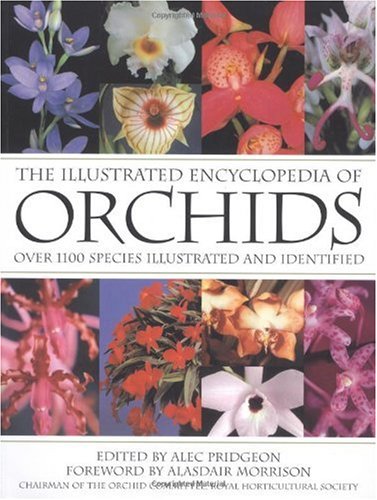 The Illustrated Encyclopedia of Orchids