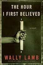 The Hour I First Believed: A Novel