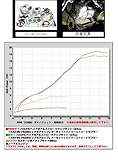 武川:タケガワ DOHCヘッド ボア＋ストロークアップキット124cc(12V車用) 12V車用2点支持クランクシャフト HONDA MONKEY [モンキー] : GORILLA [ゴリラ] (Z50J-2000001～/AB27-1000001～)