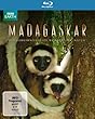 Madagaskar - Ein geheimnisvolles Wunder der Natur [Blu-ray]