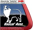 Haulin' Auss Australian Shepherd Dog Vinyl Window Decal