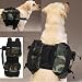Dog Day Tripper - Travel Pack for Pets - Medium Green