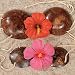 Kiddie Hibiscus Coconut Bra