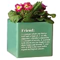 Cube Planter "Friend" - Green (6")