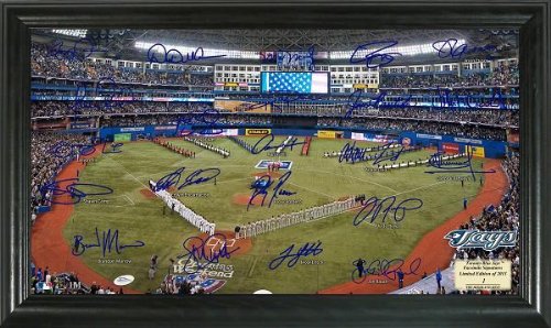 Highland Mint MLB Toronto Blue Jays Signature Field Framed Art