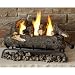 Real Flame 24-Inch Convert-to-Gel Log Set, Oak