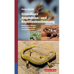 Grundkurs Amphibien- und Reptilienbestimmung: Beobachten, Erfassen und Bestimmen aller europ�ischen Arten