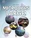 Microcars at Large!