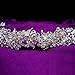 Polytree Women's Fashion Crystal Rhinestone Flower Leaf Tiara Hair Band Headband