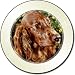 IRISH RED SETTER DOG Tax Disc Holder