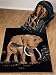 Elephant | Luxury Acrylic | Throw Blanket