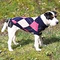 Trixie 30800 Edmonton Pullover, XS: 25 cm, blau / pink / beige