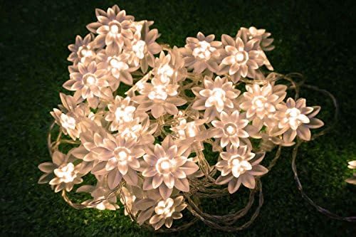 Chuang Mei LED String Lights 4M/13feet 40 LED Lotus Flower for Chrismas, Party, Wedding, Indoor, Garden Décor (Warm white)