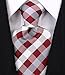 Scott Allan Mens Plaid Necktie