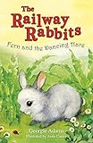 Fern and the dancing hare