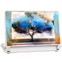 GelaSkins Protective Skin for *Small 8.4 x 5.5"* Netbooks - Rooted in Earth