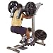 Body Solid GSCL360 Leverage Squat Calf Machine Body Solid GSCL360 Leverage Squat Calf Machine