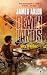 Book Sky Raider (Deathlands)