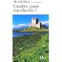 Cavalier, passe ton chemin ! : Pages irlandaises