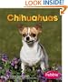 Chihuahuas (Dogs Library)