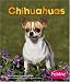 Used : Chihuahuas (Pebble Books)