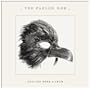 And You Were a Crow