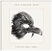 And You Were a Crow Image of And You Were a Crow