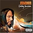 Finding Forever ~ Common