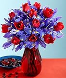 Cheap Deals on A Dozen Hugs, a Dozen Kisses by Proflowers