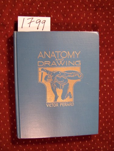 Anatomy and Drawing