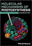 Molecular mechanisms of photosynthesis