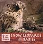 Snow Leopards and Their Babies (Zoo Life Book)