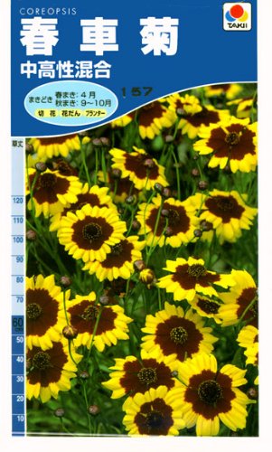 Cover image : ハルシャギク(春車菊) 中高性混合 種子 [タキイ種苗]