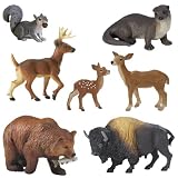Wild Safari  North American Wildlife
