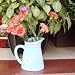 Garden XP Ceramic Daisy Jug Planters