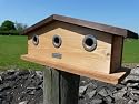 Sparrow terrace nesting box