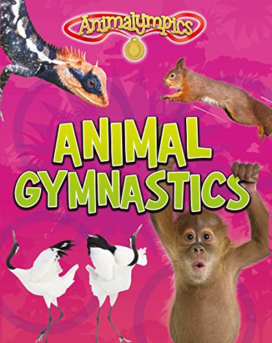 Animal Gymnastics (Animalympics)