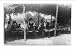 Historic Print (L): White Wolf's camp, Comanche Nation, Indian Territory