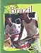 Teens in Brazil (Global Connections series)