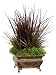 New - 24 Exotic Artificial Yucca Fern with Stylized Metal Container by Gordon
