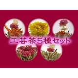工芸茶5種セット【計10個】