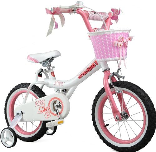 Royalbaby Jenny Princess Pink Girls Bike with Training Wheels and Basket, Best Gifts for Girls. 12 Inch, 14 Inch, 16 Inch Avaliable