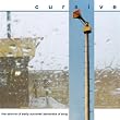 The Storms of Early Summer: Semantics of Song