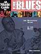 All music guide to the blues : the definitive guide to the blues