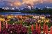 Grand Teton Best Seller Poster Print, 36x24 Poster Print, 36x24 Collections Poster Print, 36x24