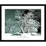 Ansel Adams (Snow in Apple Orchard, Yosemite, California) Framed Art Poster Print - 16 X... by Adam Hersh Posters