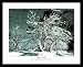 Ansel Adams (Snow in Apple Orchard, Yosemite, California) Black Wood-Mounted Art Poster Print (Unframed and Framed also available) - 16