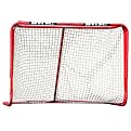 Pro-Style Steel Roller Hockey Goal