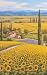 Sunflower Field 550pc Jigsaw Puzzle by Sung Kim