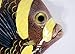 Handpainted Tropical Fish Replica Wall Mount Decor Plaque Black 8